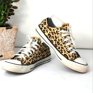 cheetah converse low top